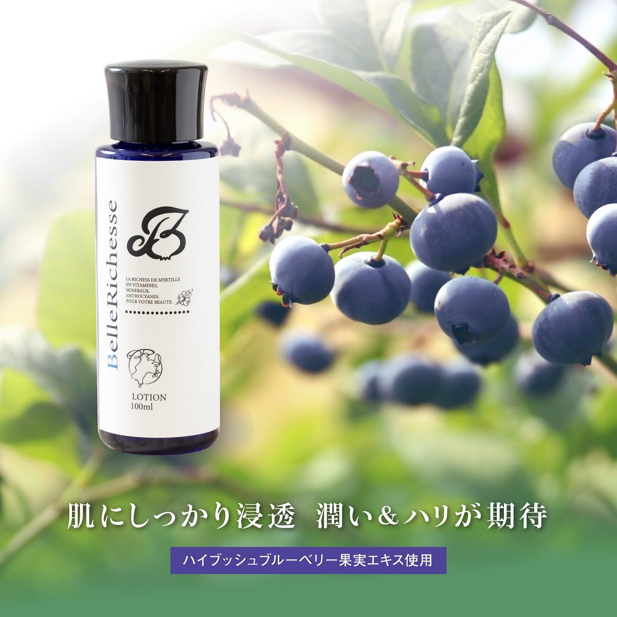 LOTION BelleRichess ローションベリシェス 100ml 化粧水